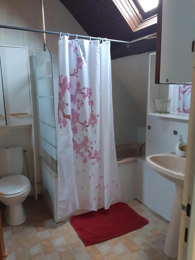 Saint-Cyran-du-Jambot Maison Village 4 Chambres 30 Minutes Du Zoo De Beauval מראה חיצוני תמונה