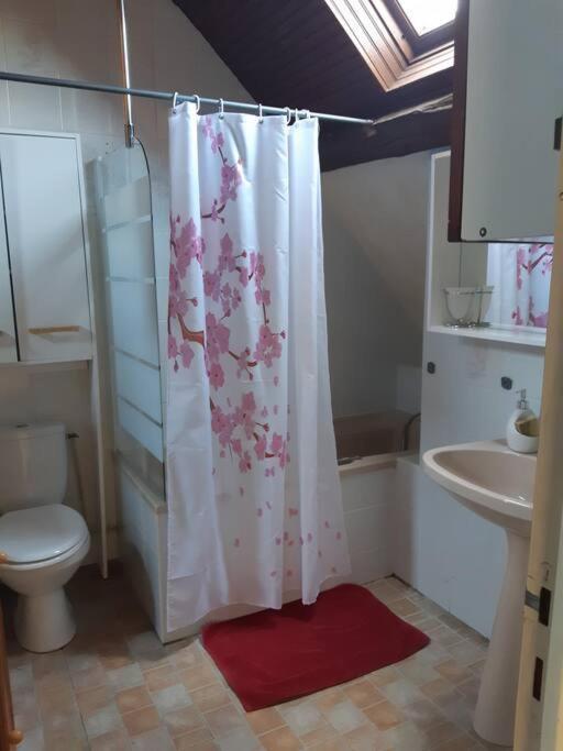 Saint-Cyran-du-Jambot Maison Village 4 Chambres 30 Minutes Du Zoo De Beauval מראה חיצוני תמונה